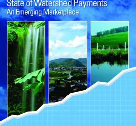 State of Watershed Payments