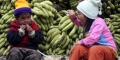 Foto: economiagricola2.blogspot.com
