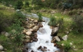 Foto: Archivo CONDESAN