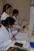 CONCYTEC