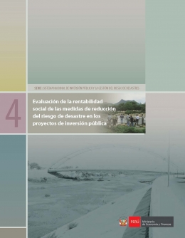 Evaluación de la rentabilidad social de las medidas de reducción del riesgo de d