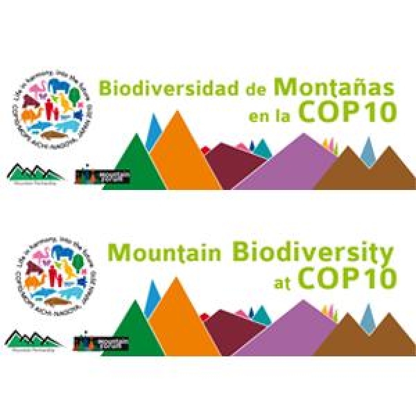 Noticias, recursos y eventos paralelos sobre biodiversidad de montañas en la COP10.