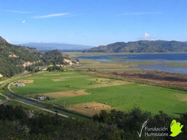 Fundación Humedales